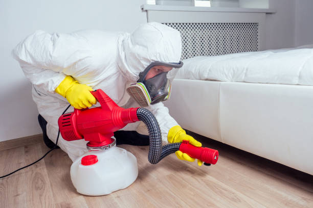 Best Affordable Pest Control Services  in Stafford Springs, CT