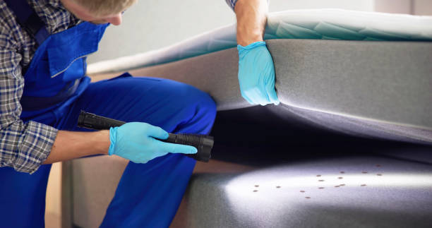 Best Flea Control Services  in Stafford Springs, CT