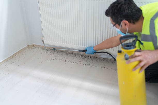 Best Best Pest Control Companies  in Stafford Springs, CT